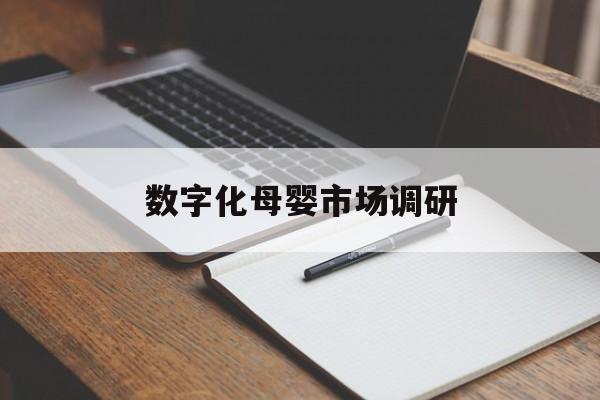 福州市数字化母婴市场调研(数字化母婴市场调研报告)